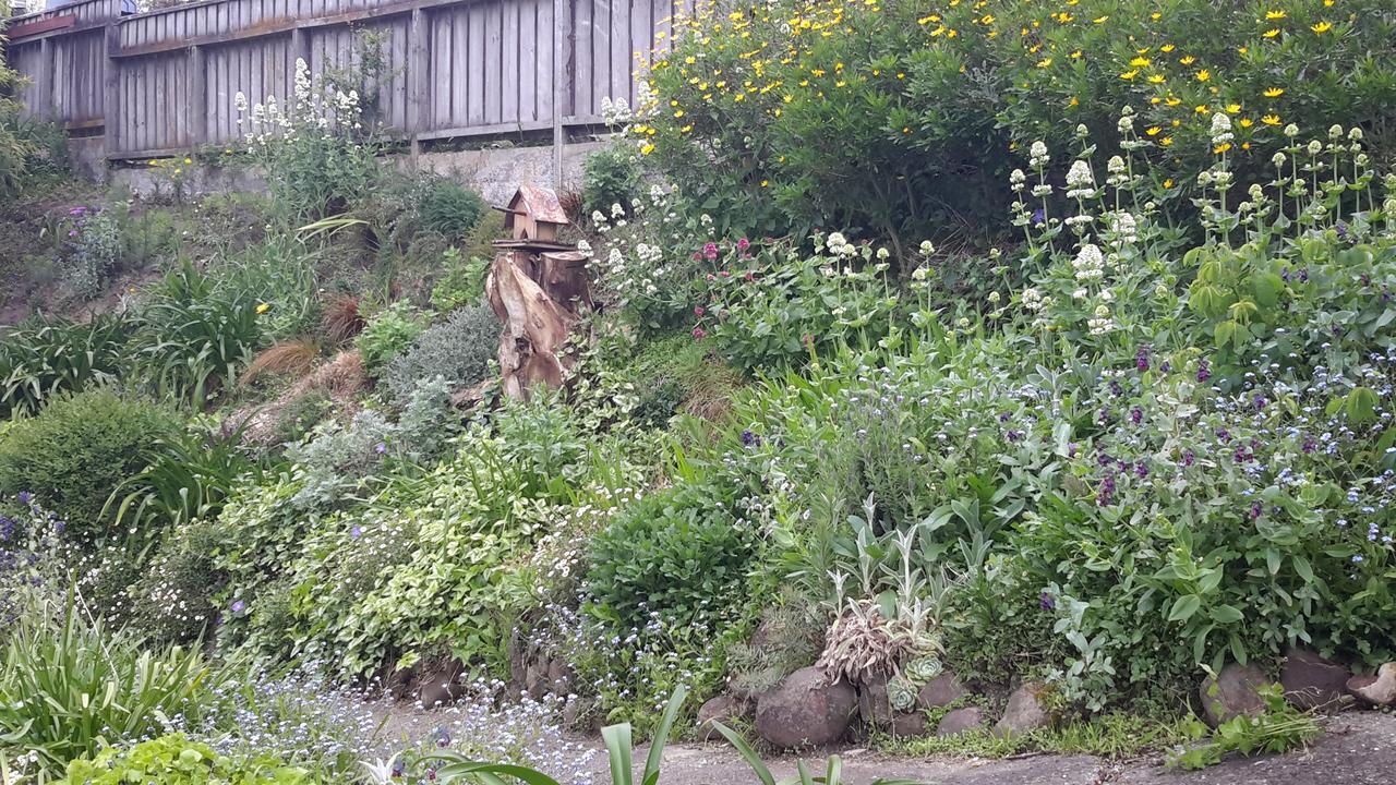 210山坡小屋住宿加早餐旅馆 纳尔逊 外观 照片